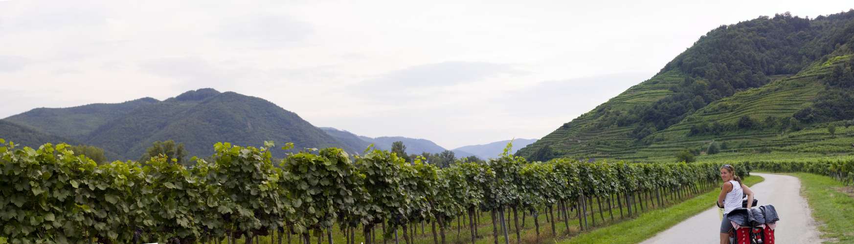 ﻿Die wunderschöne Wachau. Diesmal auf der anderen Donauseite. Eine herrliche Gegend mit tollen, sehr alten Weindörfern. Ein lohnendes Urlaubsziel!