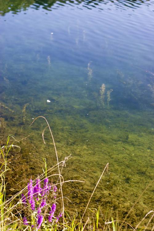 ﻿Herrlich. Ein Kies-Baggersee mit ganz klarem, warmem Wasser.