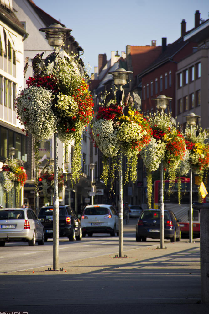 ﻿Tübingen ist eine sehr schön grüne Stadt mit sehr aufwendigem Blumenschmuck.