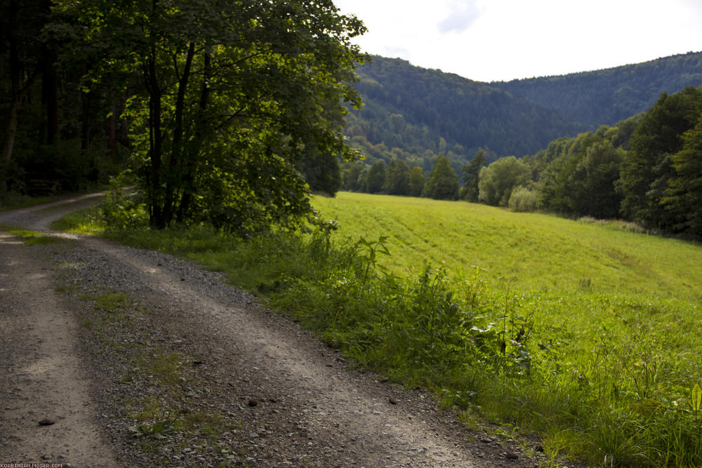 ﻿Im Odenwald wird der Radweg wieder bergig.