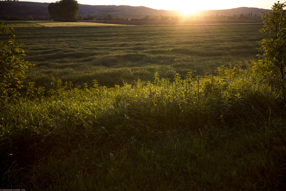 ﻿Abendsonne streichelt die Felder.