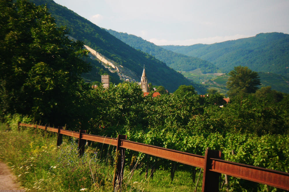 ﻿Die Wachau. Wunderschöne Landschaft, alte Weindörfer und Marillen ohne Ende.