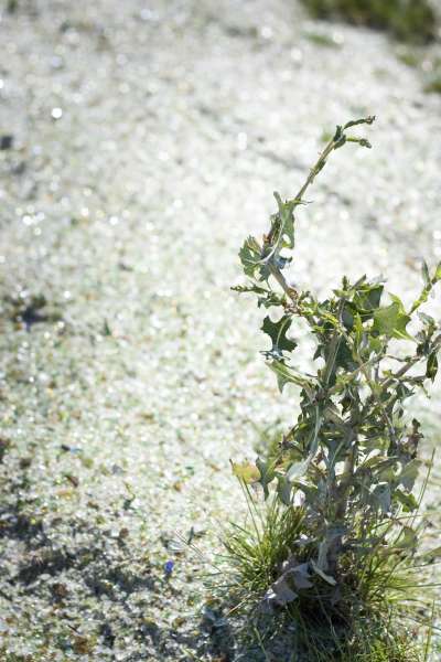 Unterwegs. Bilder von Nah und Fern.