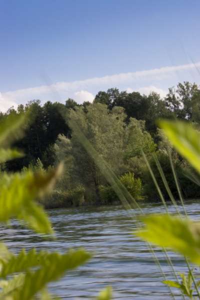 Landleben. Im Westerwald und sonstwo.