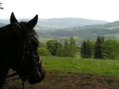 Landleben. Im Westerwald und sonstwo.