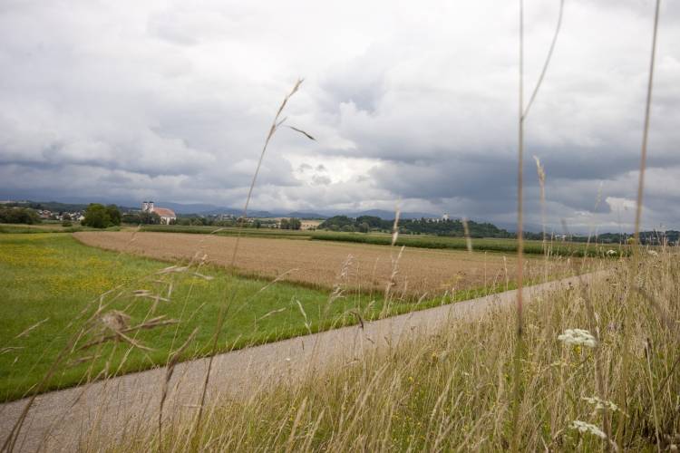 Ungarn Radtour. 2400 km zum Balaton und zurück, Sommer 2009