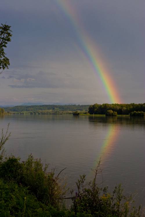 Ungarn Radtour. 2400 km zum Balaton und zurück, Sommer 2009