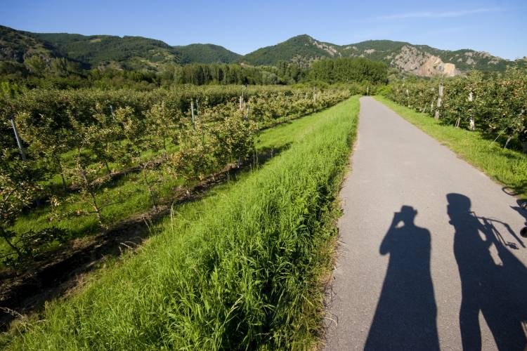 Ungarn Radtour. 2400 km zum Balaton und zurück, Sommer 2009