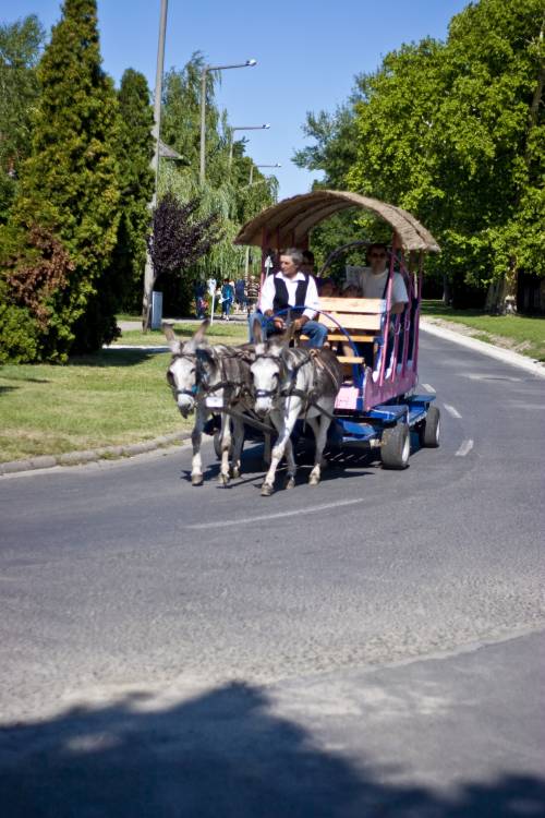 Ungarn Radtour. 2400 km zum Balaton und zurück, Sommer 2009