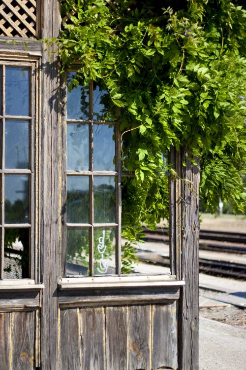 ﻿Sehr hübsch. Der Bahnhof in Barcs.