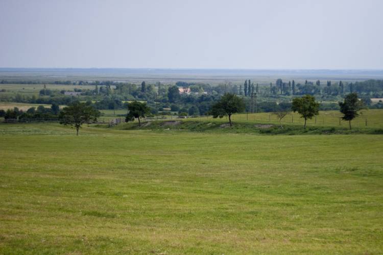 ﻿Auf dem Rückweg. Am Neusiedler See ist eine sehr schöne Gegend zum Radeln.