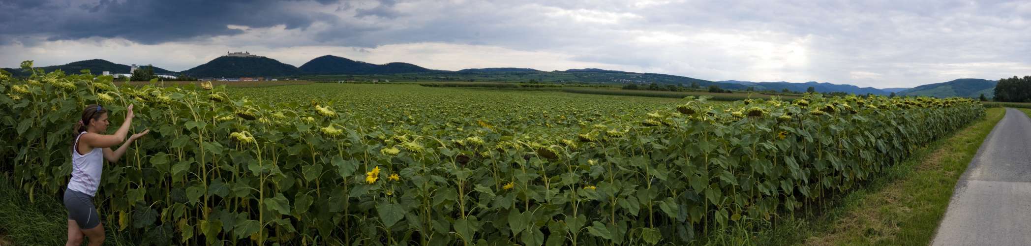 Ungarn Radtour. 2400 km zum Balaton und zurück, Sommer 2009