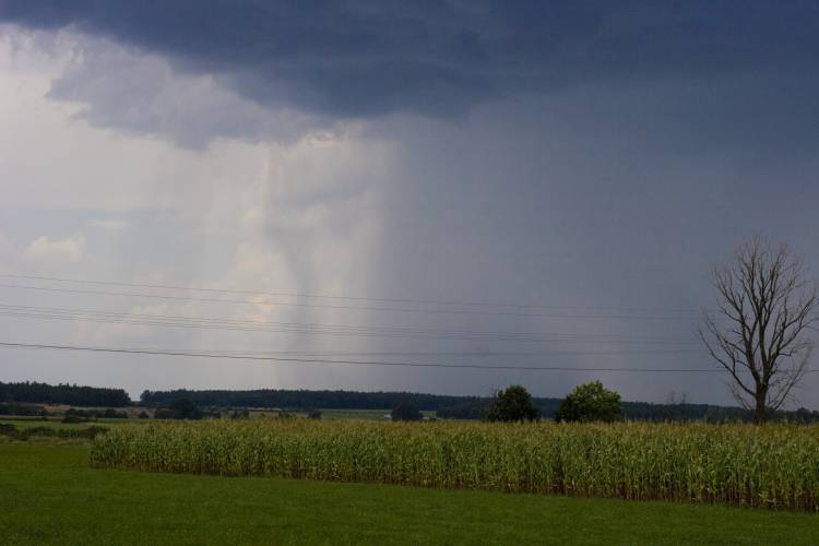 ﻿...und gefühlt. Eine solche Regenwand hat auch uns erwischt (leider konnte ich es wegen Nässe und Stress nicht fotografieren). Es war HEFTIGST! Innerhalb von 3 Sekunden waren wir mitten auf freiem Feld ohne Vorwarnung in einem Hagelsturm. Wir konnten nur noch die Fahrräder hinschmeißen, uns unter meinen Schirm auf den Boden kauern und ihn mit aller Kraft festhalten. 5 Minuten später wieder Sonnenschein.