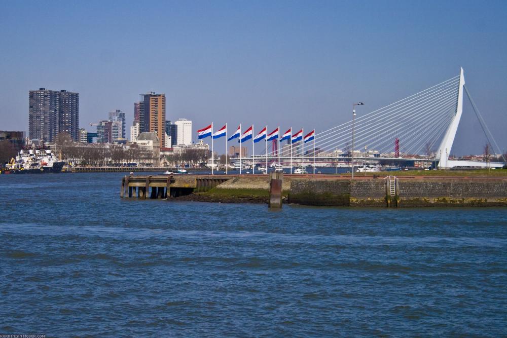 ﻿Rotterdam. Groß und anstrengend, keine wirklichen Sehenswürdigkeiten.