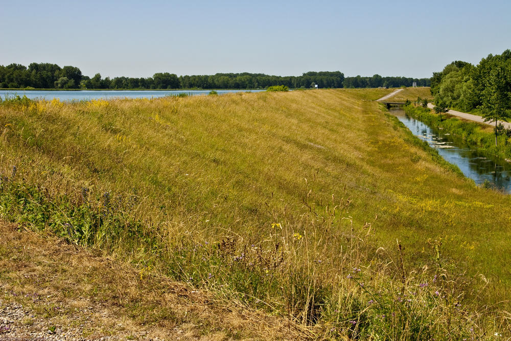 ﻿Unterwasser-Radweg. Der Wasserstand des Rheins liegt hier viel höher als der Radweg.