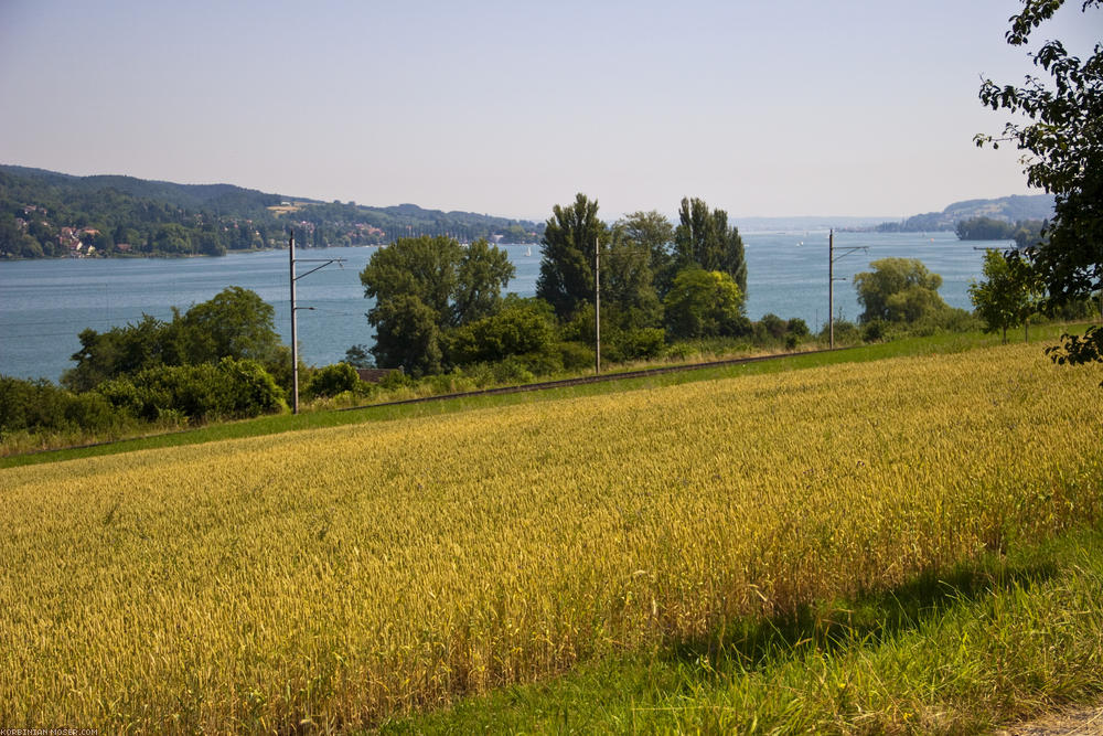 ﻿Bodensee. Der Rhein wird plötzlich immer breiter.