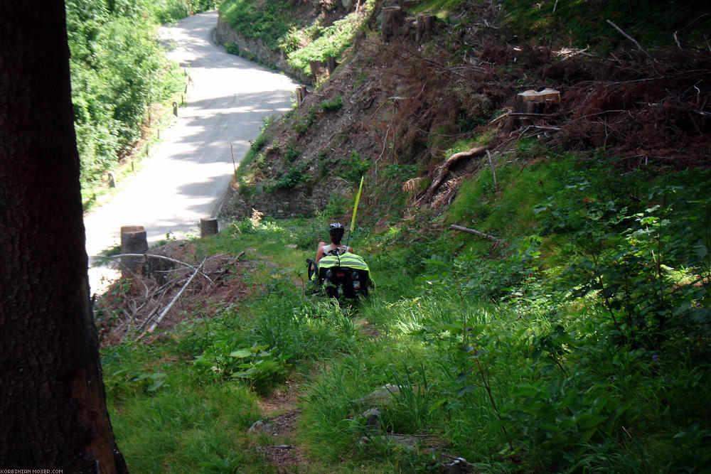 ﻿Nix wie hin. Denn 1) kann man von der rechten Straßenseite aus nicht in die Schlucht runter schauen, 2) falls die Autofahrer genauso in die Landschaft vertieft sind wie wir, könnte es auf der Straße gefährlich werden.