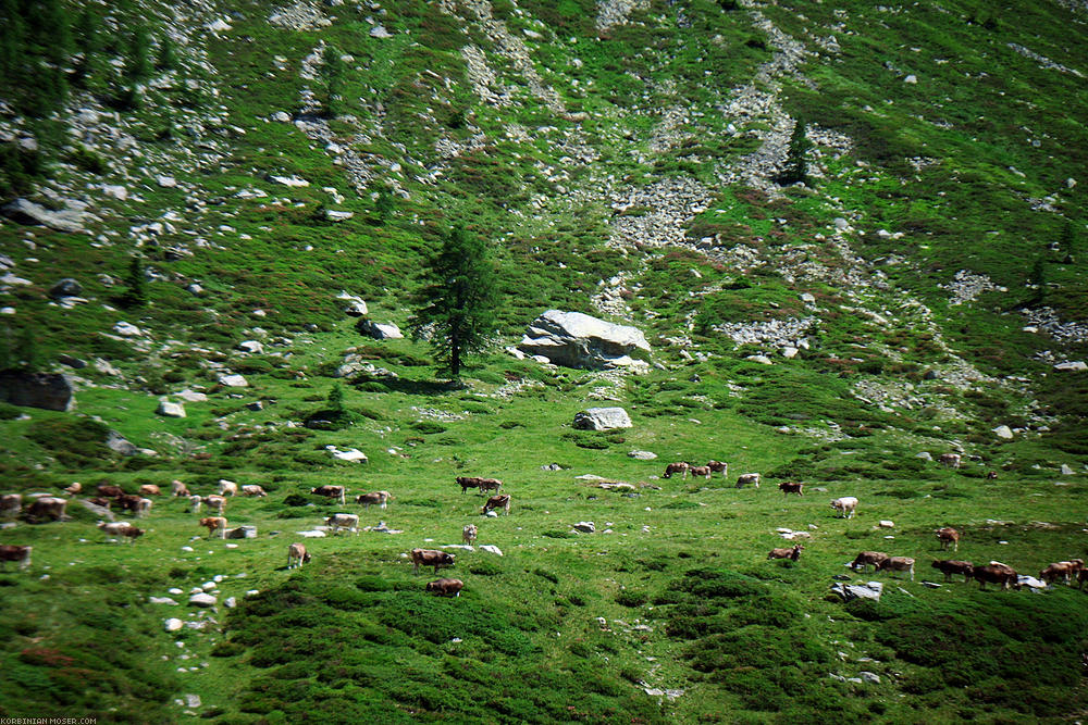 ﻿Die Landschaft wird allmählich karg und felsig. Die vielen rauschenden Bäche verbreiten Flughafenatmosphäre.