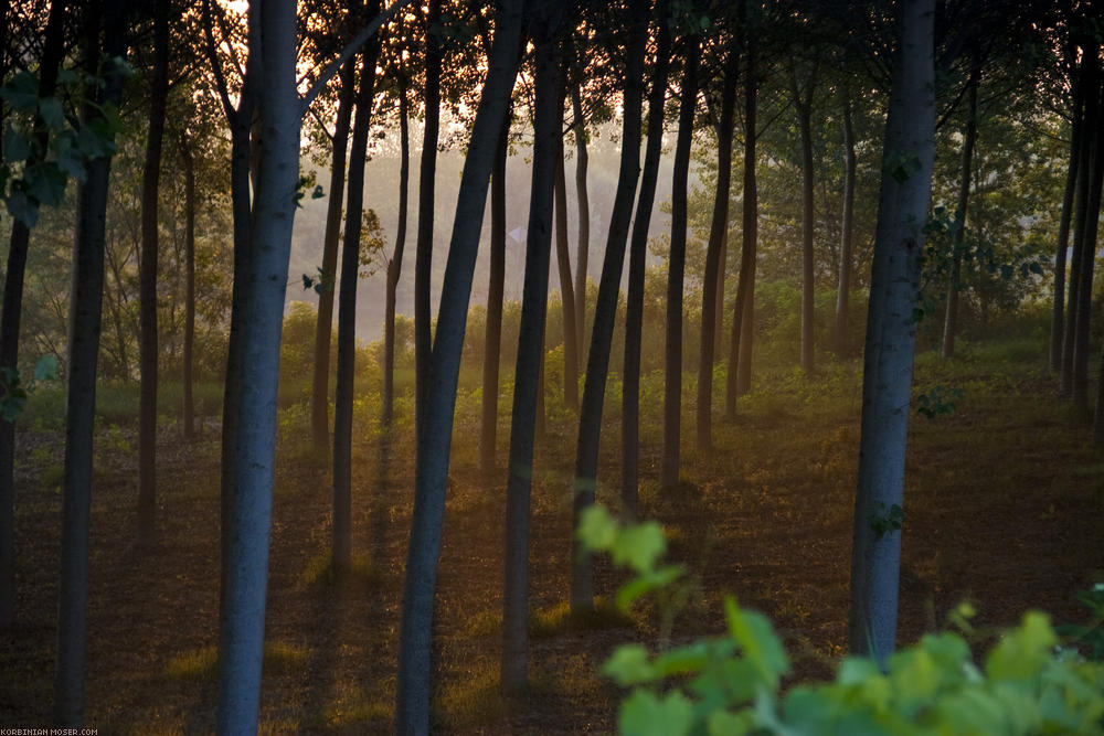 ﻿Wer früh aufsteht erlebt den Sonnenaufgang.