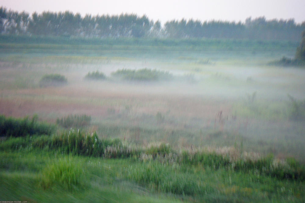 ﻿Und den Morgennebel in den Wiesen.