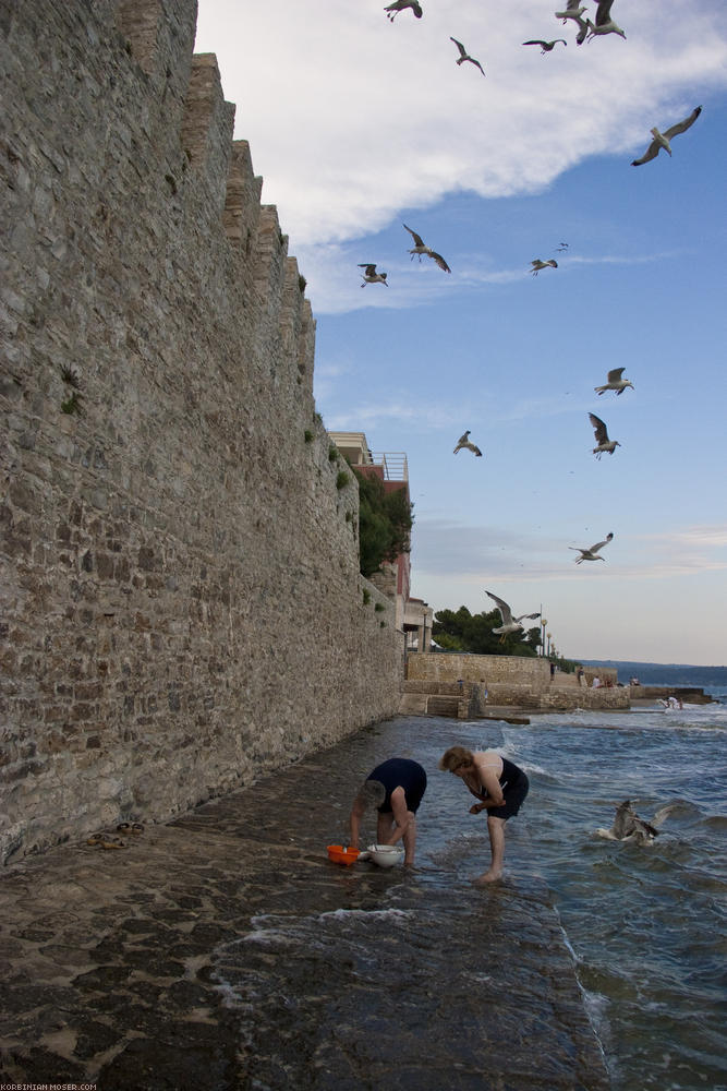 ﻿Novigrad. Am Meer.