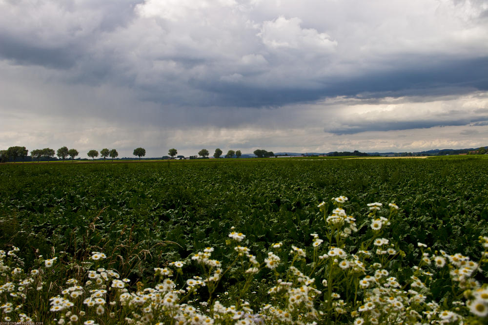 ﻿Wechselhaftes Wetter. Mal Regen, mal Sonne, viel Wind. Mal zu kalt, mal zu warm. Da hinten kommt schon der nächste Regen auf uns zu. Deshalb heute wenig Fotos.