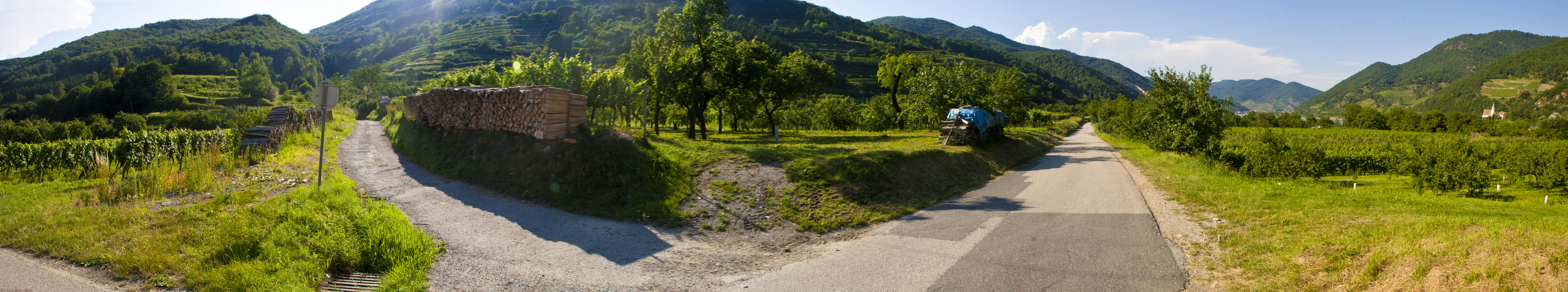 ﻿Die Wachau. Wunderschöne Landschaft, alte Weindörfer und Marillen ohne Ende.