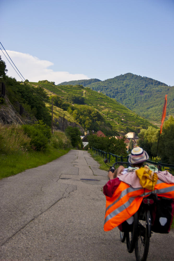 ﻿Die Wachau. Wunderschöne Landschaft, alte Weindörfer und Marillen ohne Ende.