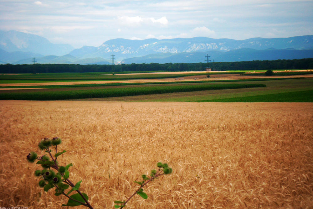 ﻿Schöne Landschaft. Felder mit Bergen am Horizont.