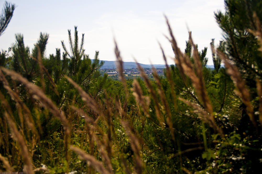 ﻿Hügelland. Schöne Landschaft bei Sopron.