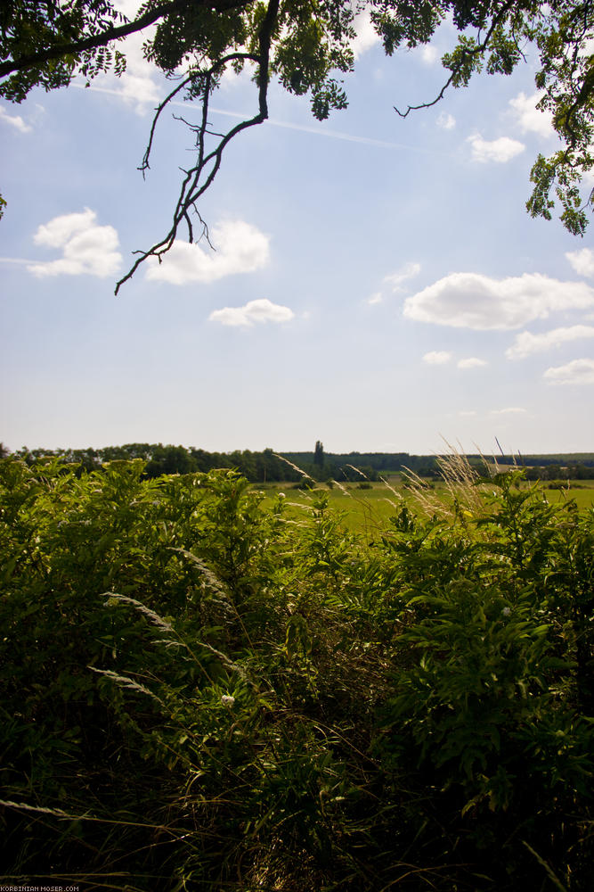 ﻿Ungarische Landschaft.