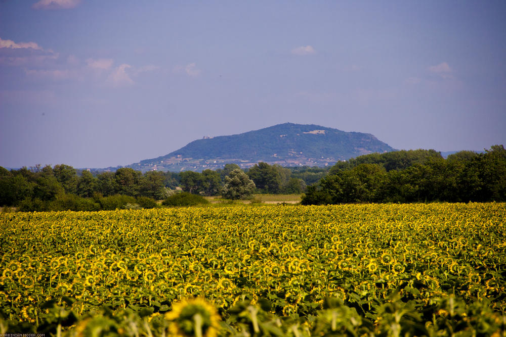 ﻿Somló. Ein einzelner Berg mitten im Flachland.