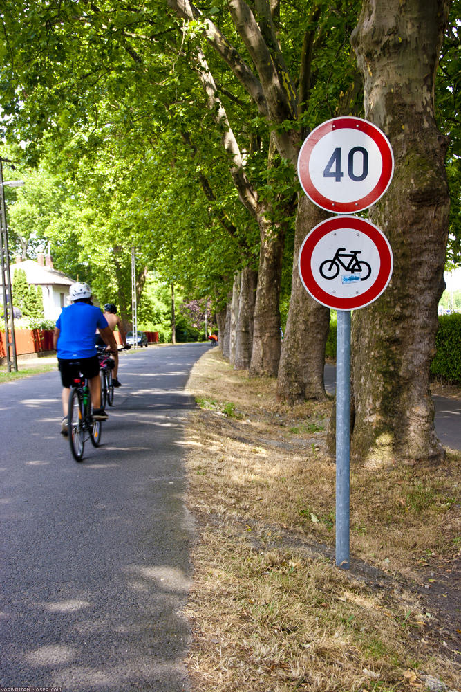 ﻿Typisch ungarisch. Sowas sieht man hier ständig. Zu Recht werden die sinnlosen Fahrradverbotsschilder von fast allen missachtet. Trotzdem ein ungutes Gefühl, auf verbotenen Straßen fahren zu müssen.