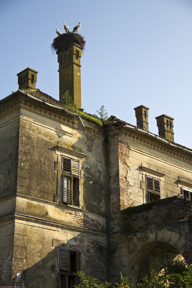 ﻿Kroatien. Storchennest auf verlassener Villa.