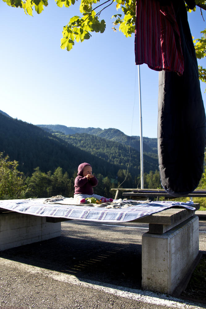 ﻿Morgensonne. Wir packen, Mona isst ein paar Ahornblätter.