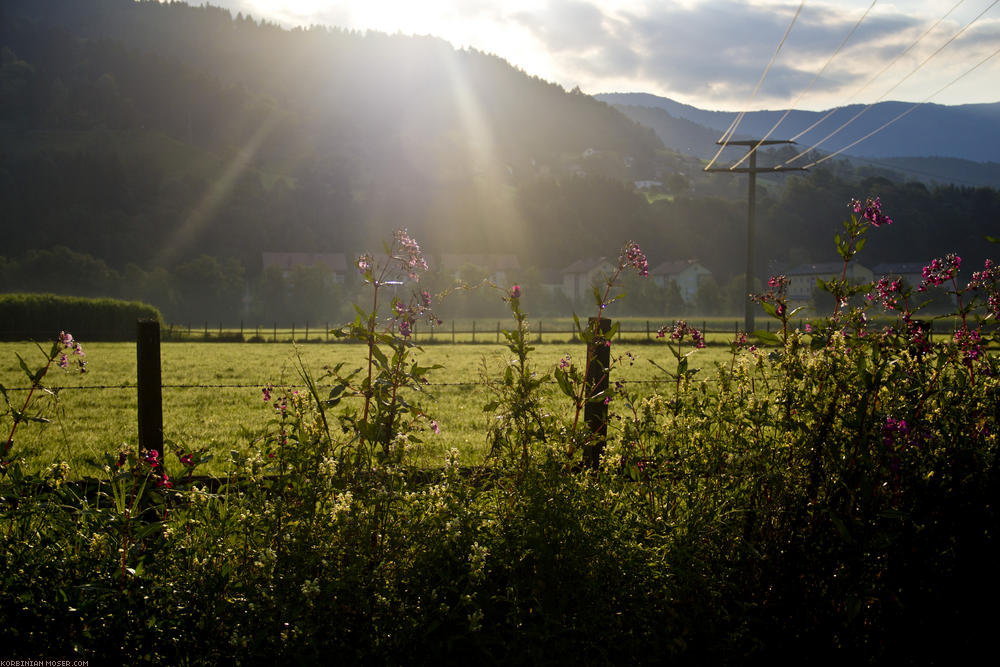 ﻿Morgentau. Der Grund, warum wir unser Zelt jeden Tag zwei mal aufbauen müssen.