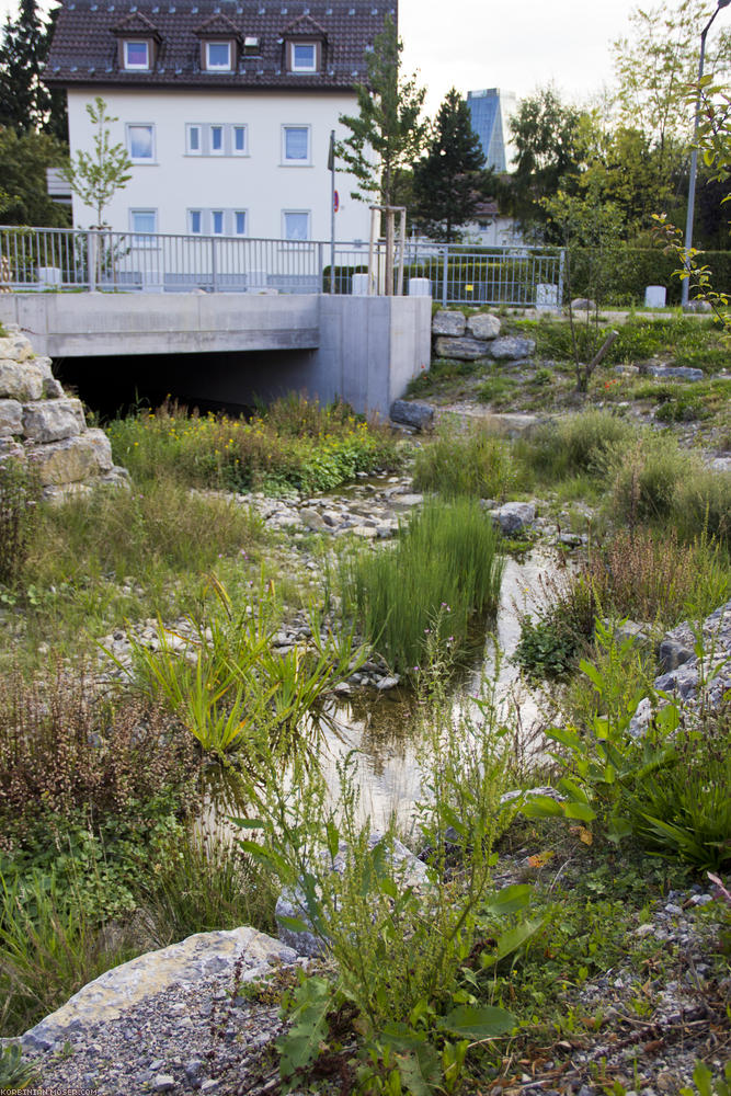 ﻿Der Neckar. Dieses Rinnsal hier in Schwenningen ist tatsächlich der Neckar, nur ganz wenige Kilometer von der Brigach in Villingen entfernt. Unglaublich, dass so wenig Strecke darüber entscheidet, ob das Wasser zur Nordsee oder ins schwarze Meer fließt.