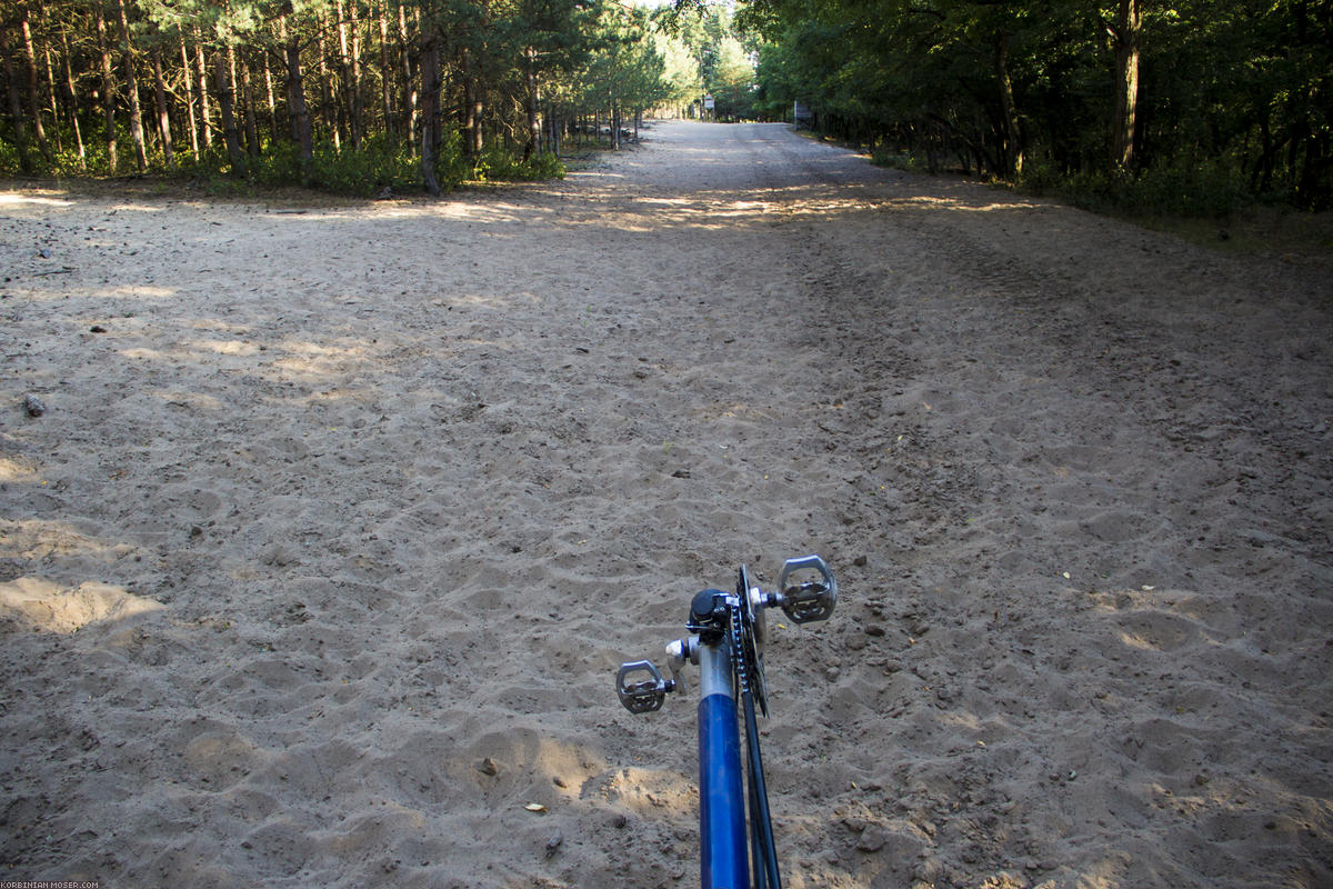 ﻿Dieses Jahr keine Mega-Radtour. Korbinian erkundet stattdessen die Wälder rund um Barcs mit seinem geländegängigen 26-Zöller. Es begegnen einem sehr viele Hirsche hier, teilweise sogar in großen Herden. Leider war der Fotoapparat nie schnell genug zur Hand.