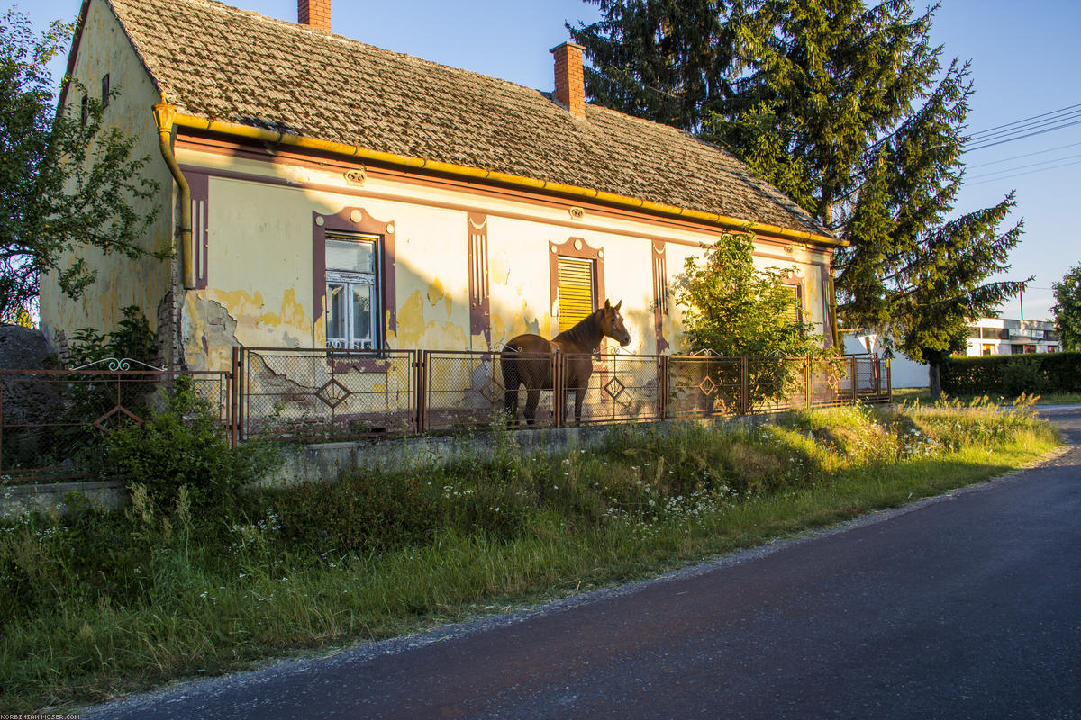 ﻿3 Tage, 4 Länder, 500 km.  Unsere erste kleine Radtour ohne Mona.