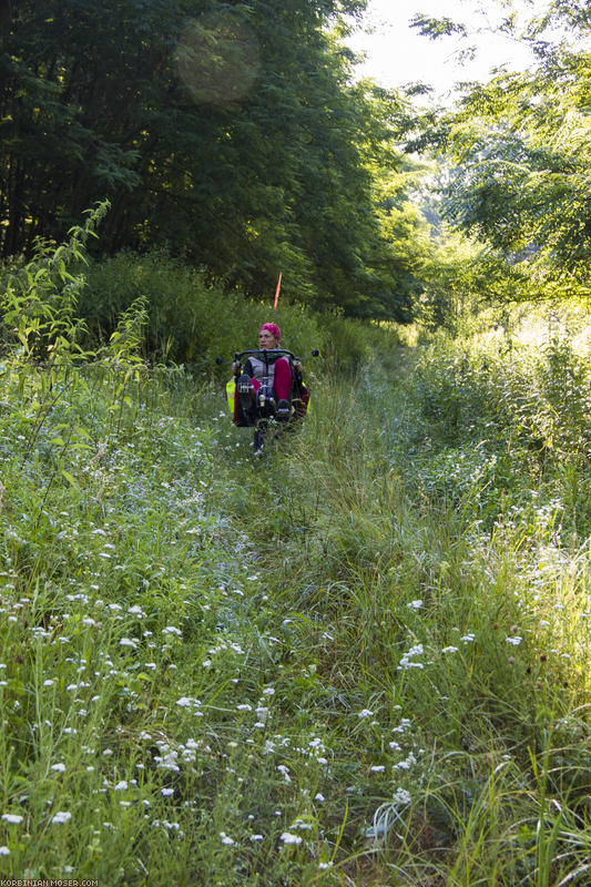 ﻿Ab in die Büsche. Ungarische Radwege sind nichts für Rennräder!