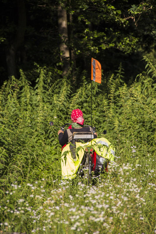 ﻿Ab in die Büsche. Ungarische Radwege sind nichts für Rennräder!