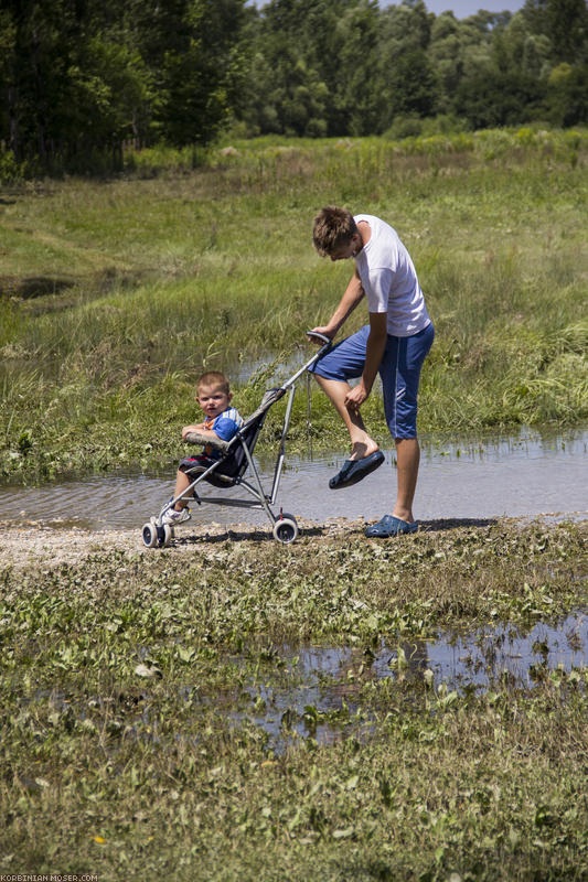 ﻿Nass. Hier war vor kurzem Hochwasser.