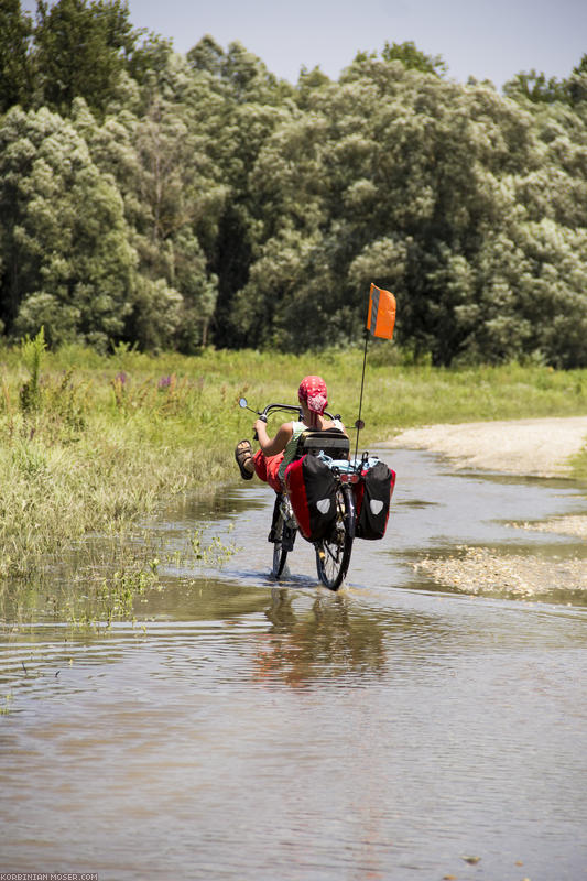 ﻿Nass. Hier war vor kurzem Hochwasser.