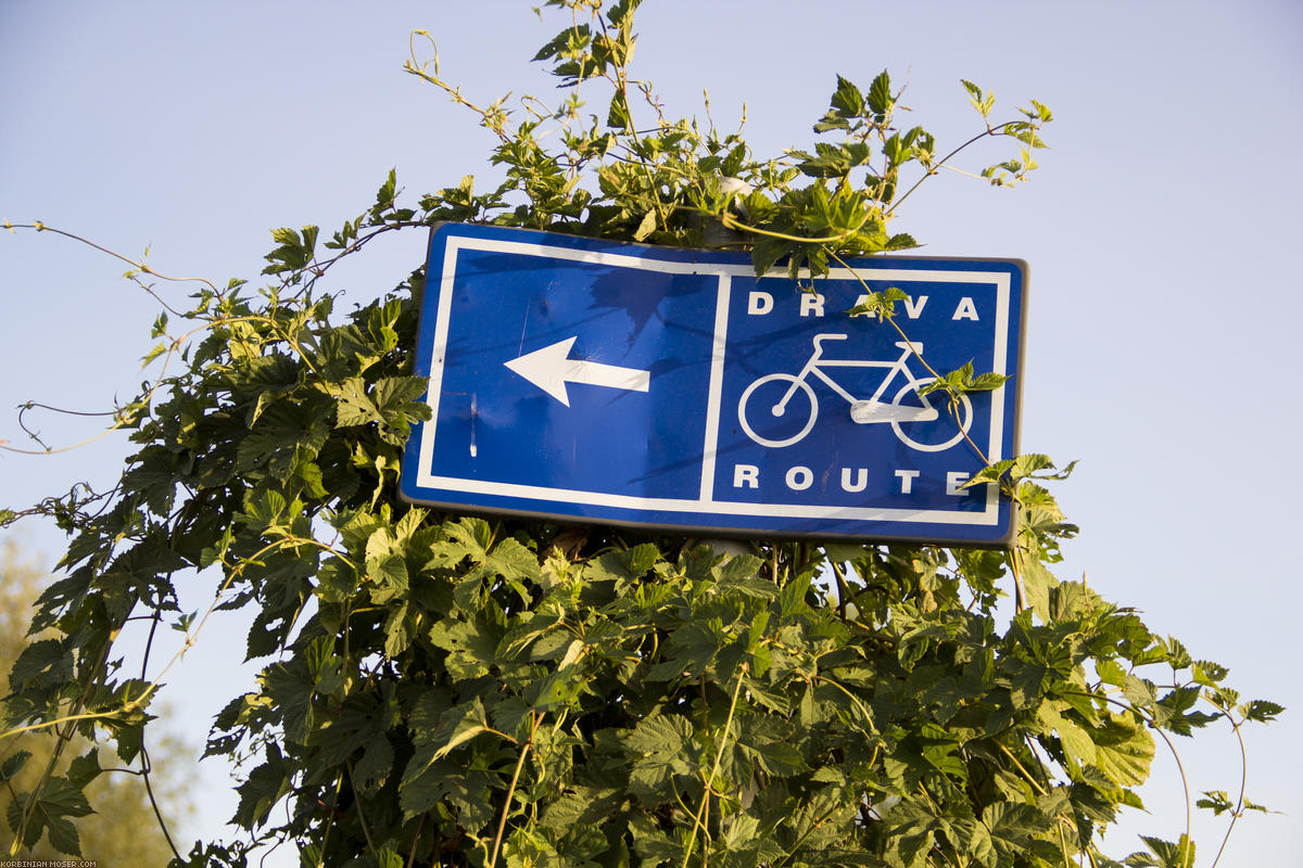 ﻿Wow. Ein richtiger, ausgeschilderter Radwanderweg. Wer hätte das hier erwartet?