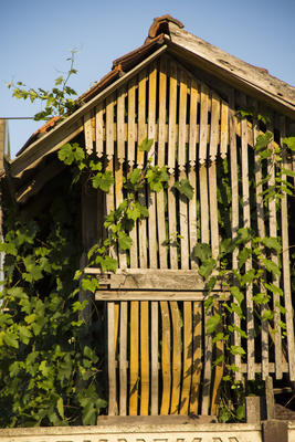 ﻿Ungarn. Sommerferien 2012.