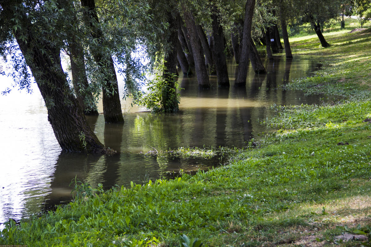 ﻿Barcs. Die Drau hat Hochwasser. Was für ein Glück, dass wir den Regen dazu nicht abgekriegt haben :-)