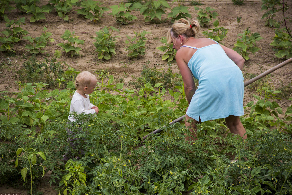 ﻿Gartenarbeit. Oma zeigt Mona, wie das geht.