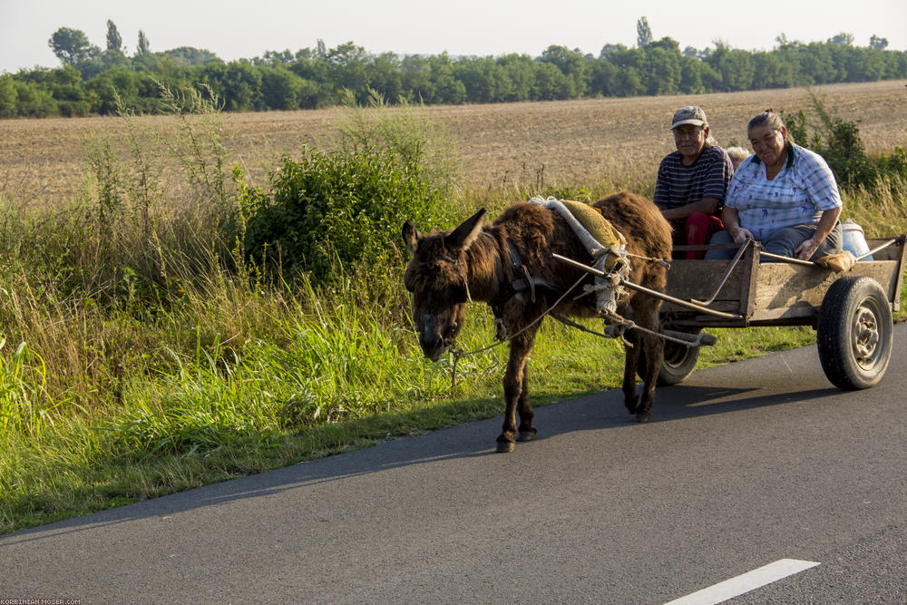 ﻿Highspeed. Auf dem Weg zur Arbeit.