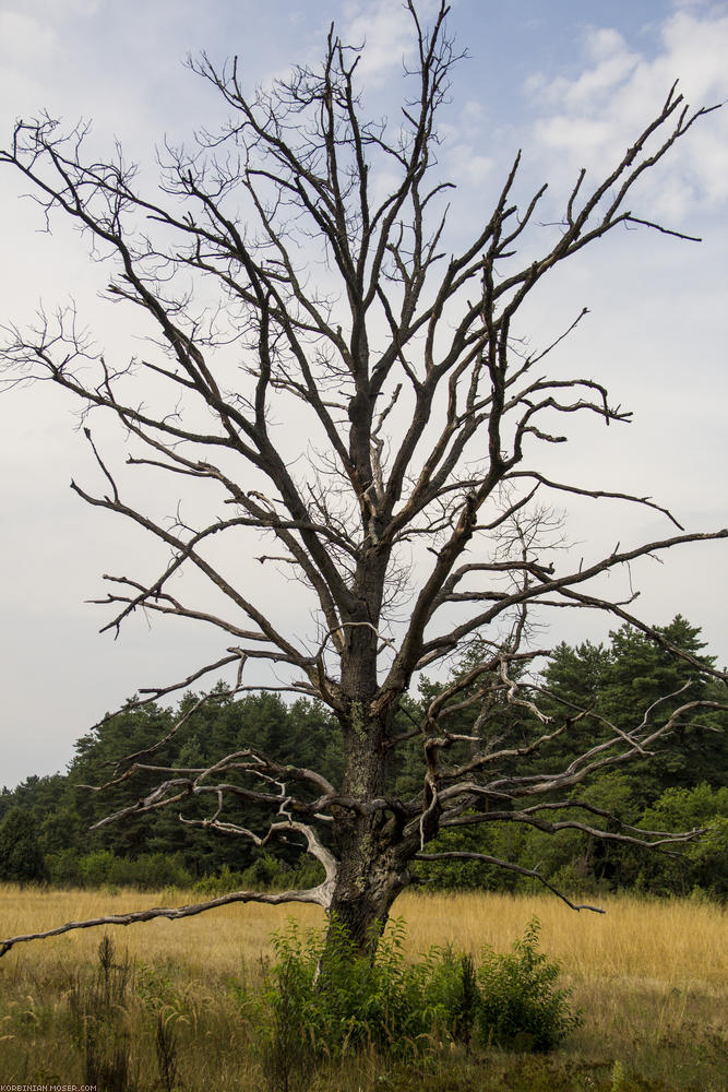 ﻿Ungarn. Sommerferien 2012.