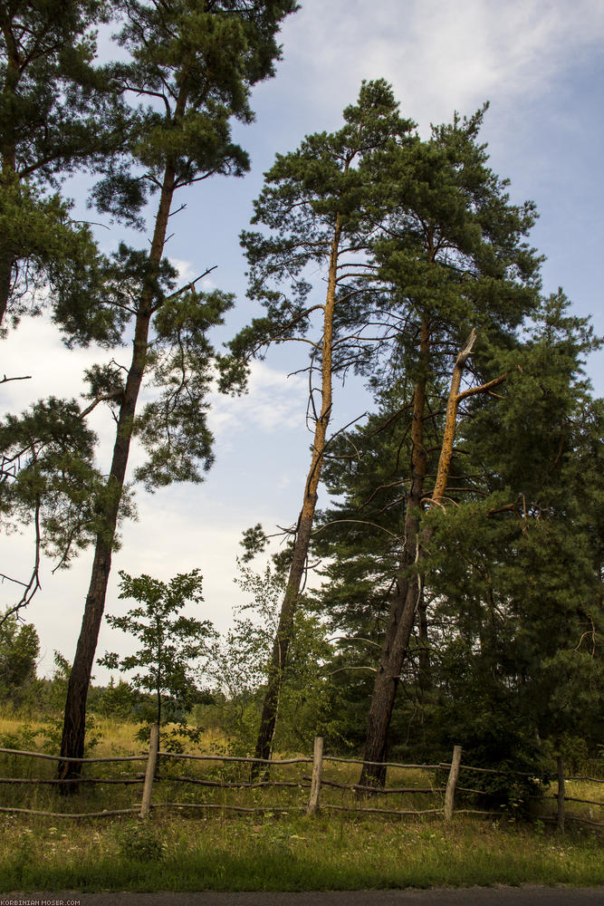 ﻿Ungarn. Sommerferien 2012.